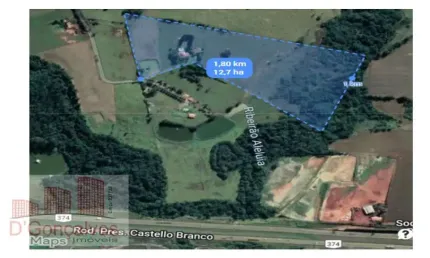 Chácara / sítio com 4 quartos à venda na Cesário Lange, Aleluia, Cesário Lange