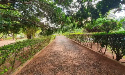 Chácara / sítio com 3 quartos à venda na Rua das Rosas, Parque das Flores I, São José do Rio Preto
