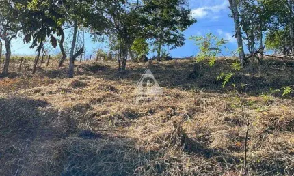 Terreno à venda na Estrada União e Indústria, --, Itaipava, Petrópolis