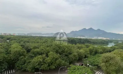 Apartamento à venda, 03 quartos, 01 suíte, 02 vagas, vista livre, península - rio de janeiro/rj