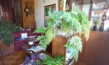 Excelente apartamento no flamengo com três quartos sendo uma suíte