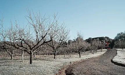 Terreno à venda na Rua Antônio Beneti Sobrinho, Mato Queimado, Gramado por R$ 800.000