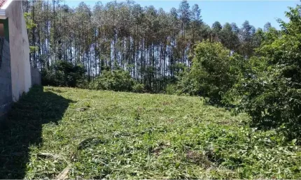 Terreno à venda na Rua Condpesca E Lazer Barra do Ivaí, Zona Rural, Quinta do Sol por R$ 300.000