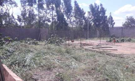 Terreno à venda na Rua Pioneiro Feliciana Tereza Leonar, 963, Jardim Nova Floresta, Floresta por R$ 180.000