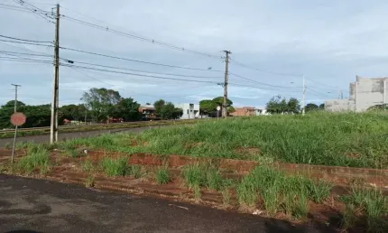 Terreno comercial para alugar na Rodovia PR-317, Parque Industrial I, Maringá por R$ 600