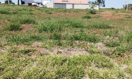 Terreno à venda na Rua Canários, Zona Rural, Iguaraçu por R$ 75.000