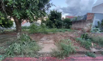 Terreno comercial à venda na Avenida Pioneiro Alício Arantes Campolina, Vila Esperança, Maringá