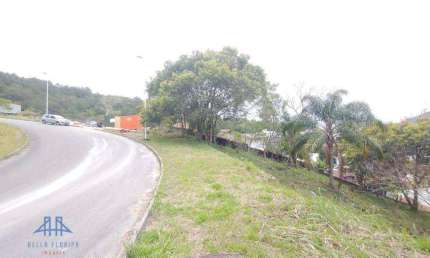 Terreno à venda, 785 m² por R$ 1.170.000,00 - Itacorubi - Florianópolis/SC