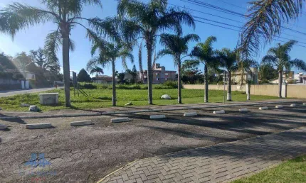 Terreno à venda, 600 m² por r$ 1.100.000,00 - canasvieiras - florianópolis/sc