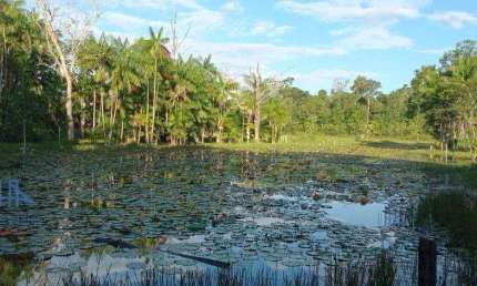 Fazenda à venda, 2190000 m² por R$ 4.000.000,00 - Alça Viaria - Acará/PA