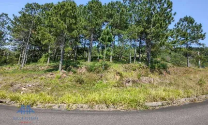 Terreno à venda, 747 m² por r$ 1.494.000,00 - itacorubi - florianópolis/sc