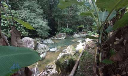 Sítio à venda, 2123 m² por R$ 400.000,00 - Centro - Antônio Carlos/SC