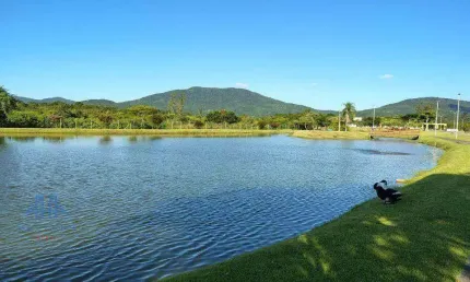 Terreno à venda, 400 m² por R$ 850.000,00 - Ratones - Florianópolis/SC