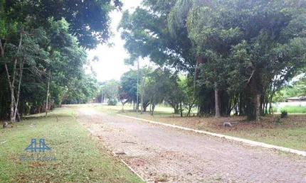 Terreno à venda, 457 m² por r$ 600.000,00 - ratones - florianópolis/sc