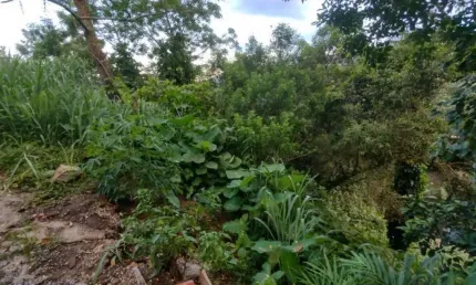Terreno à venda, 2975 m² por r$ 4.490.000,00 - joão paulo - florianópolis/sc