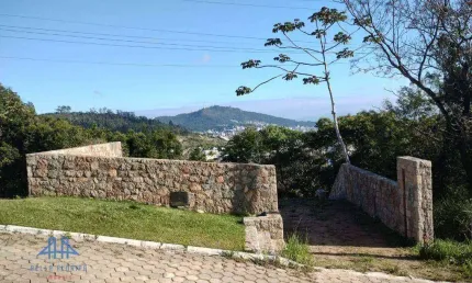 Terreno à venda, 534 m² por R$ 780.000,00 - Córrego Grande - Florianópolis/SC