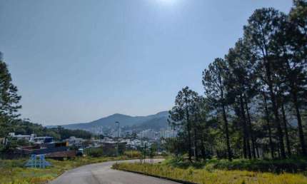Terreno à venda, 886 m² por R$ 1.772.000,00 - Itacorubi - Florianópolis/SC