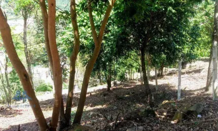 Terreno à venda, 1007 m² por R$ 999.000,00 - Cachoeira do Bom Jesus - Florianópolis/SC