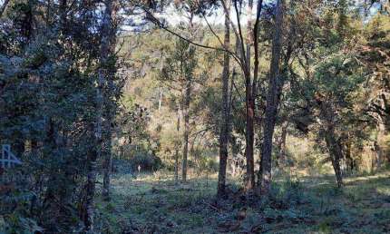 Terreno à venda, 27000 m² por R$ 455.000,00 - Santo Antônio - Urubici/SC