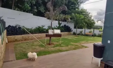 chacara com piscina Venda quintadaspalmeiras cedral/SP