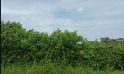 Oportunidade Única em RIO GRANDE - RS | Tipo: Terreno | Negociação: Venda Direta Online  | Situação: Imóvel