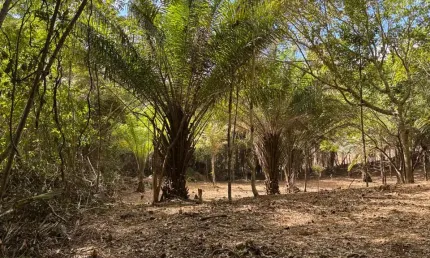 Terreno em condomínio fechado à venda na Rua 15 de Novembro, 599, Condomínio Fazenda Real, Simões Filho