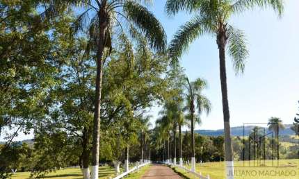 Sitio  fantástico na cidade de Cassia dos Coqueiros-SP