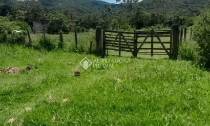 Terreno à venda na Rua Bento Manoel Ferreira, 1874, Ratones, Florianópolis, 5280 m2 por R$ 2.500.000