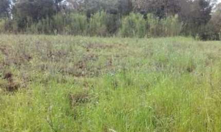 Terreno comercial à venda na Laudi João Fleck, 1, Floresta, Lajeado, 1233 m2 por R$ 636.000