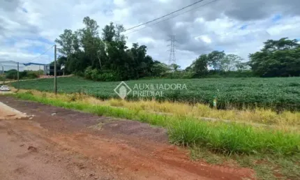 Terreno comercial à venda na RSC-453, 2, Floresta, Lajeado, 362 m2 por R$ 130.000