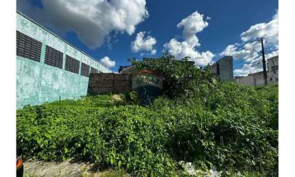 Terreno à venda em Novo Aleixo, Manaus 
