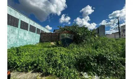 Terreno à venda em Novo Aleixo, Manaus 