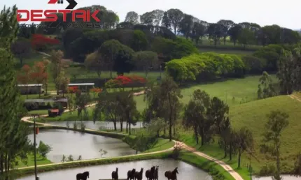 Terreno comercial à venda na Zona Rural, Santo Antônio de Posse 