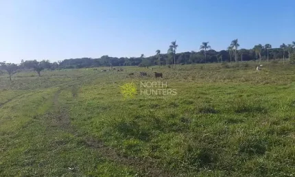 Terreno à venda, 132011 m² por R$ 85.000.000 - Barra do Itapocú - Araquari/SC
