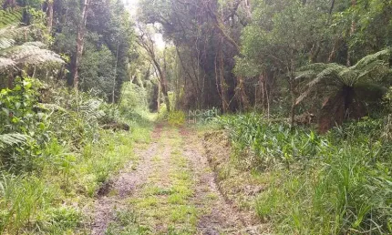 Chácara em Lageado com 193.600mil m², distante 600m da rodovia