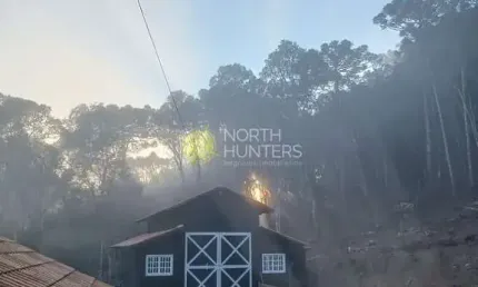 Chácara à venda em Campo Alegre. Estuda permuta por casa na praia ou em Joinville/SC