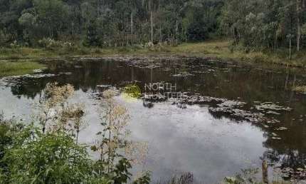 Chácara com 3 dormitórios à venda, 57.429 mil m²  - Centro - Campo Alegre/SC