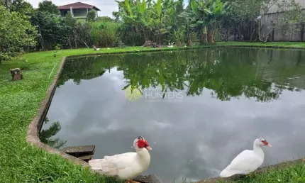 Chácara com 3 dormitórios à venda, 17000 m² por R$ 880.000,00 - Zona Rural - Balneário Barra do Sul