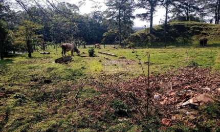 Chácara com 3 dormitórios à venda, 37266 m² - Vila Nova - Joinville/SC