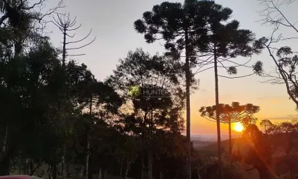 Chácara com 2 dormitórios à venda, 24200 m² por R$ 575.000,00 - Zona Rural - Campo Alegre/SC