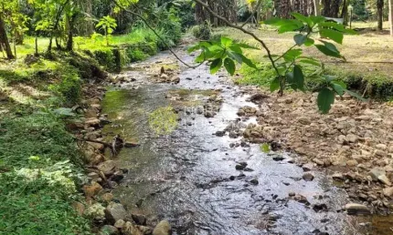 Chácara com 3 dormitórios à venda, 30600 m² por R$ 1.290.000,00 - Centro (Pirabeiraba) - Joinville/