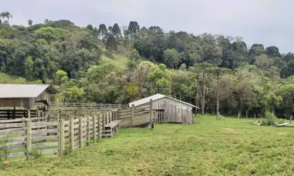 Fazenda à venda, 24.840.000 mil m² - Zona Rural - Campo Alegre/SC