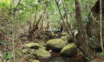Terreno de 2500 m² no bairro Jordão em  Governador Celso Ramos-SC