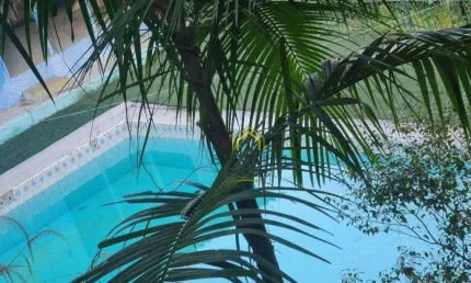 Chácara  à venda, 1600 m² por R$ 399.000 - Água Azul - Guarulhos/SP