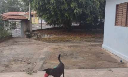 Casas a venda em Jundiaí, no terreno de 546 m² possui 3 casas com total de área construída de 262 m²