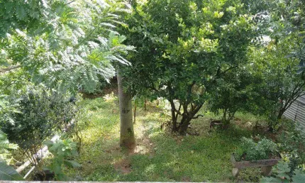 Casa à venda, 90 m² por R$ 210.000,00 - Jardim Capoavinha - Mairiporã/SP