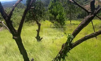 Terreno à venda, 4480 m² por R$ 140.000,00 - Mont Blanc - Mairiporã/SP