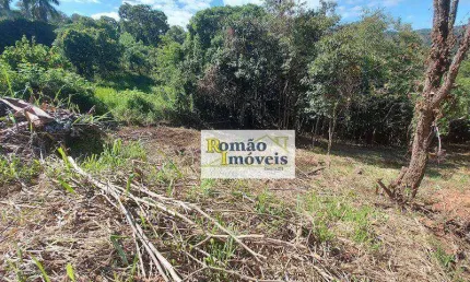 Terreno à venda, 1880 m² por r$ 115.000,00 - parque residencial encosta da cantareira - mairiporã/sp