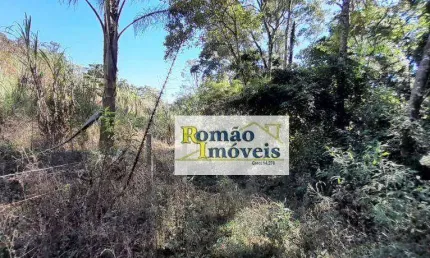 Terreno à venda, 24200 m² por R$ 120.000,00 - Jardim Sinki - Franco da Rocha/SP