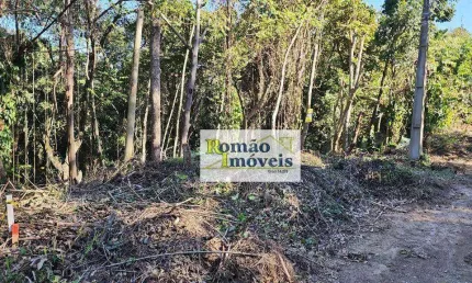 Terreno à venda, 473 m² por R$ 52.000,00 - Interlagos Village - Mairiporã/SP